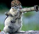 Nuts--5717.jpg