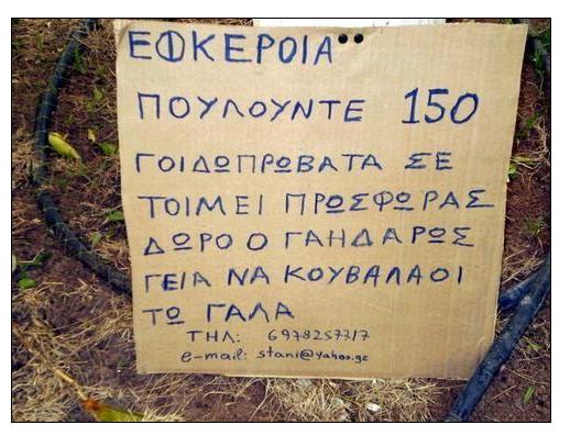 ΜΕΓΑΛΟΙ ΕΦΚΕΡΟΙΑ.JPG
