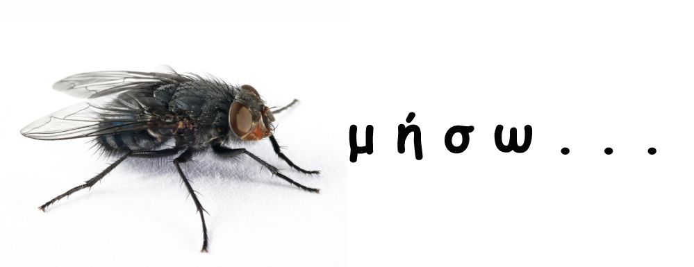 μύγα.jpg