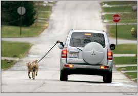 xaxaxa 011 lazy innovation.jpg