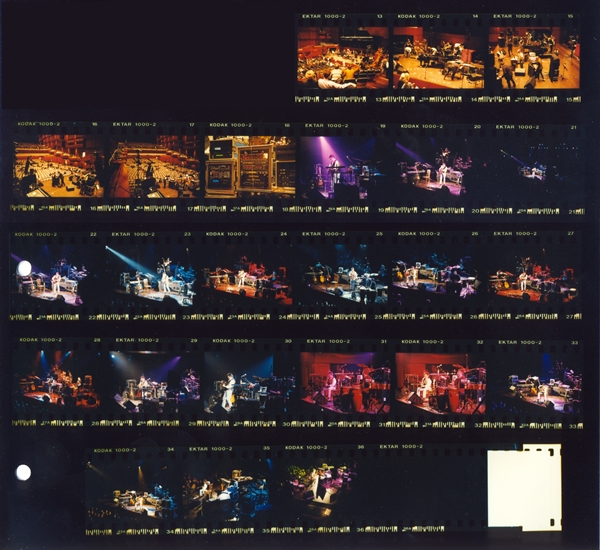 16 11 94 Meola contact.jpg