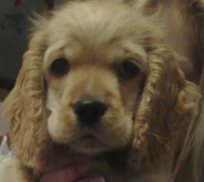 300420106790-002 (2).jpg