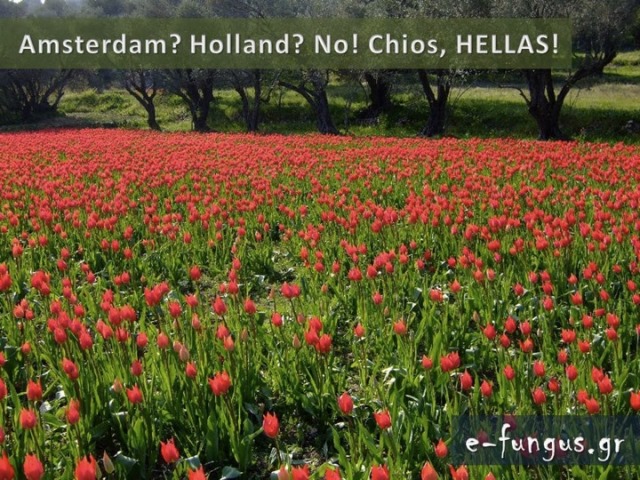 photo album 042 -a.jpg