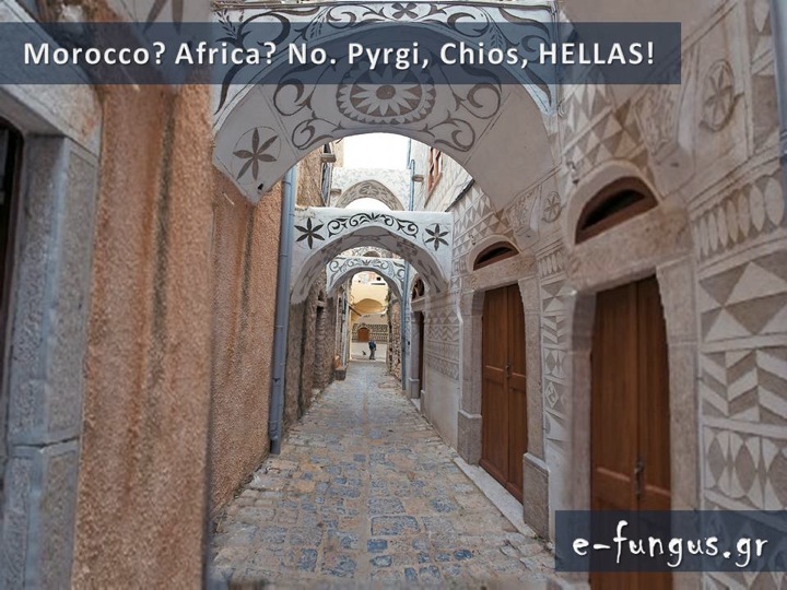 photo album 053 (2).jpg