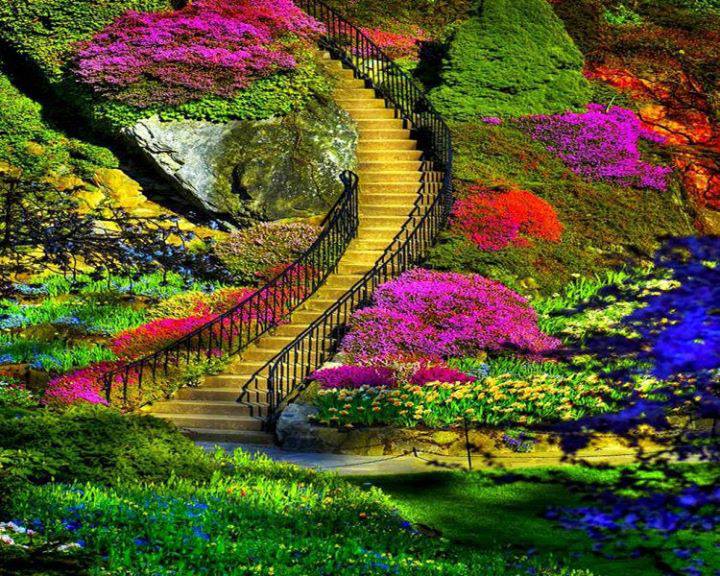 στα σκαλιά του παραδείσου.jpg