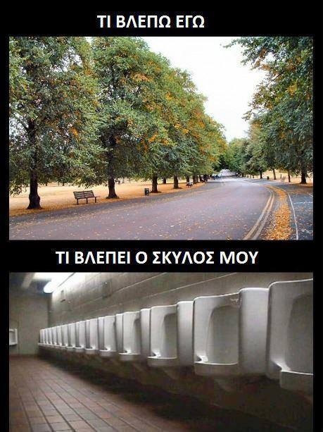 xaxaxa 012 άλλα τα μάτια του λαγού....jpg