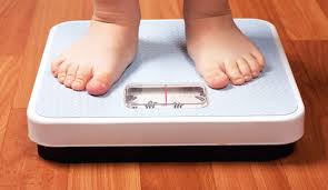 xaxaxa 025 scale.jpg