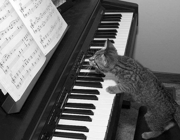 δεν έβαλα τα γυαλιά μου.jpg