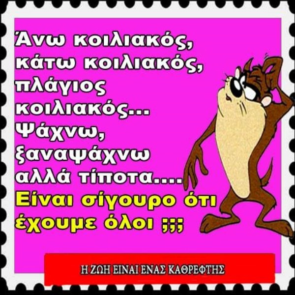 - xaxaxa 013 (9).jpg