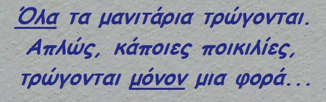 - xaxaxa 005 (5).jpg