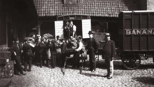 Norway celebrates the first ever banana arriving in the country 1905.jpg