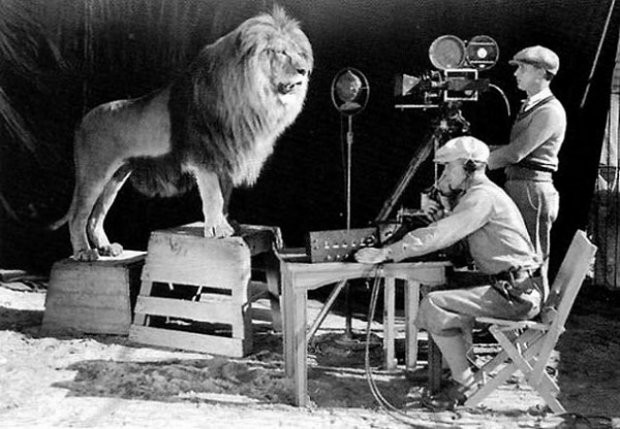 recording of the MGM roaring-lion logo ~1924.jpg