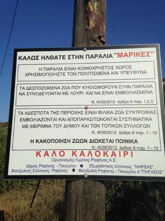 ΜΙΑ ΗΛΙΑΧΤΙΔΑ ΑΓΑΠΗΣ ΓΙΑ ΤΑ ΑΔΕΣΠΟΤΑ.jpg