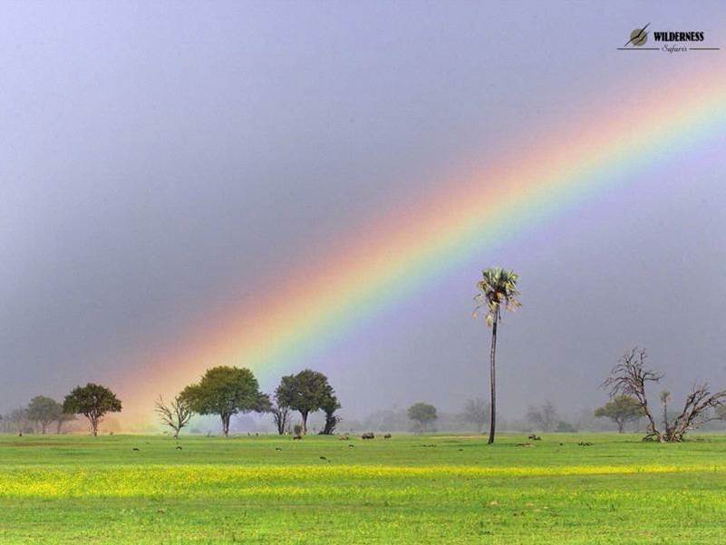 catch the rainbow.jpg