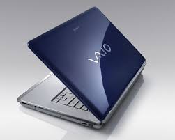 xaxaxa 021  vaio.jpg