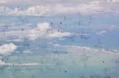 Is_There_an_Eye_Floaters_Solution.jpg