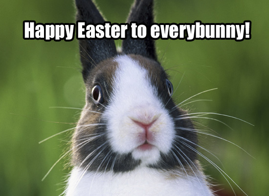 HappyEasterBunny.jpg