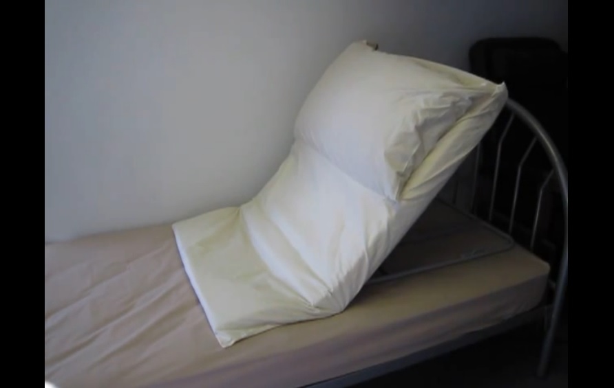 pillow lifter 2.jpg