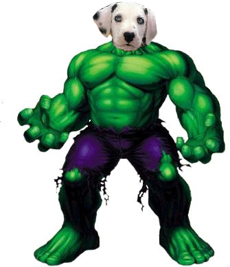 parhs.jpg