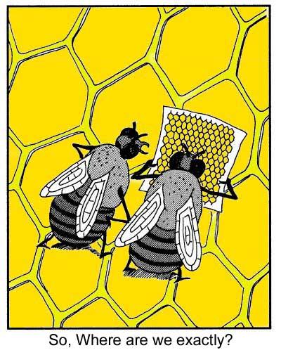 We better buy a GPS ............JPG