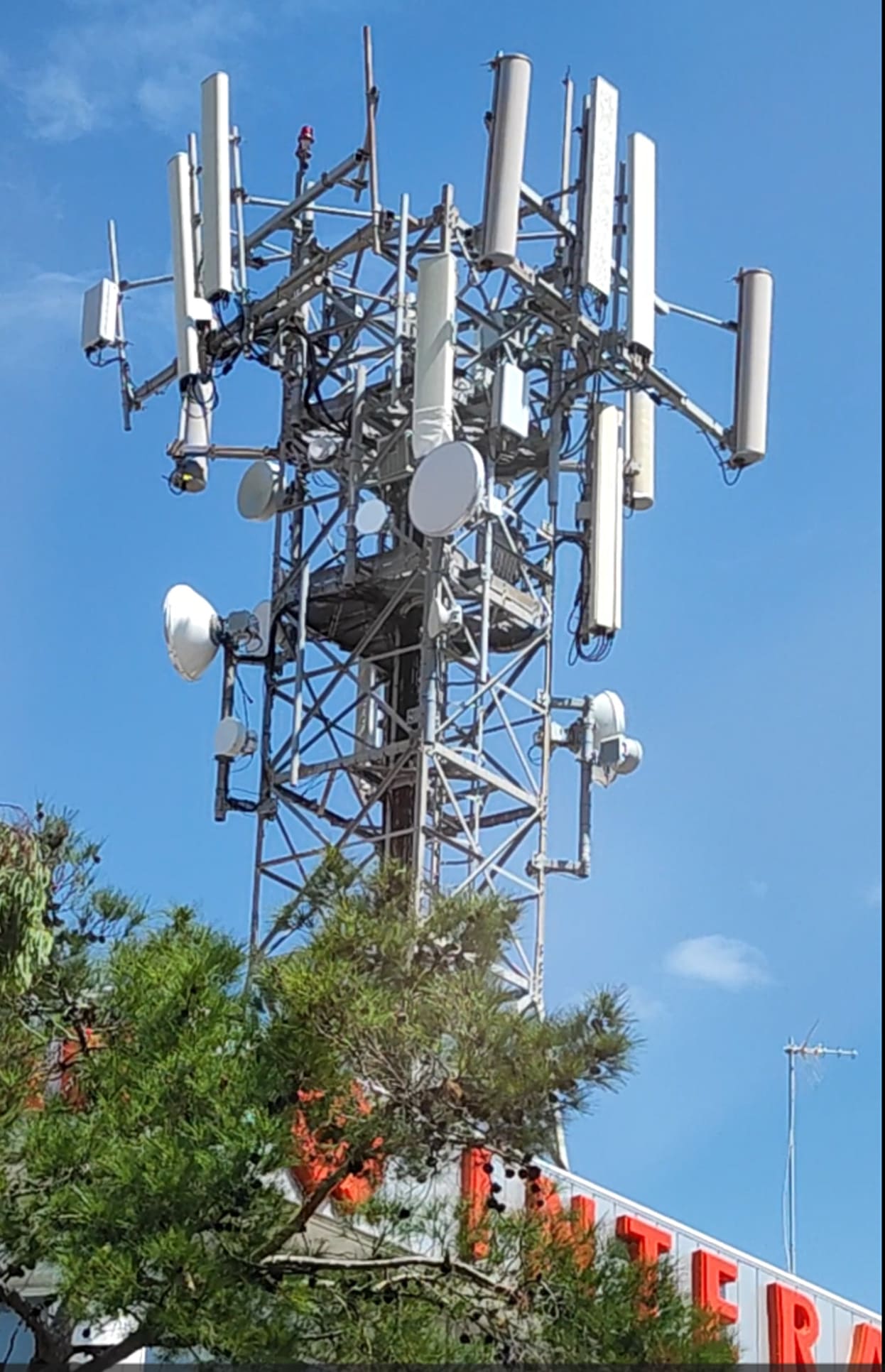 mobile2.jpg