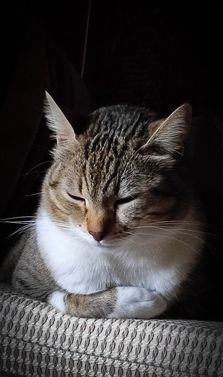 viber_415.jpg